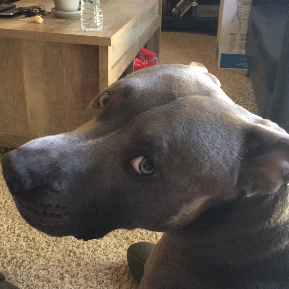 Meet your Posher, Randall